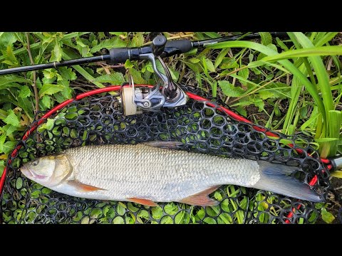 Видео: Жерех,Голавль! Архивное!