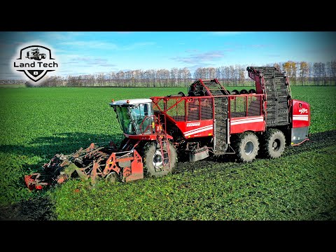 Видео: Новый трехосный свеклоуборочный комбайн GRIMME Rexor 630 в действии! Обзор и работа в поле!