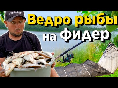 Видео: Рыбалка на ФИДЕР! Улов 20 кг за сутки! Рыбалка с ночевкой ! Маринованные кабачки.