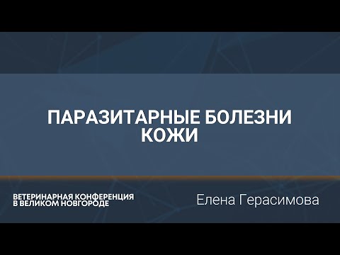 Видео: Паразитарные болезни кожи