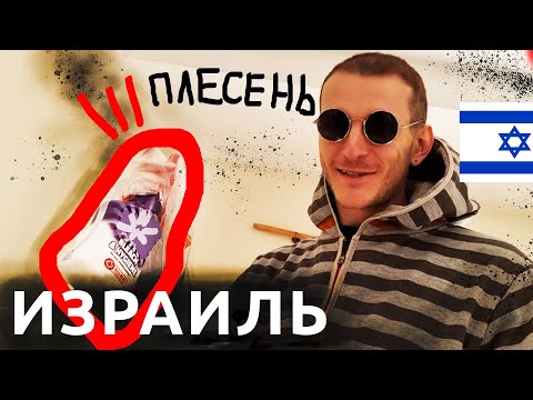 Видео: Израиль АТАКОВАЛА ПЛЕСЕНЬ