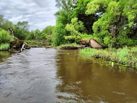 Видео: Часть 2| Сплав| Экспедиция на реку Писса| Калининградская область| Прыжок с водопада