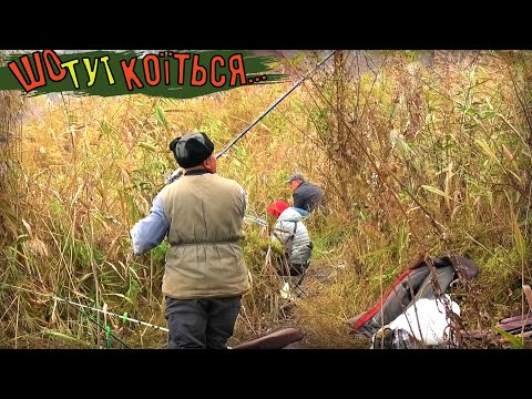 Видео: Все забито !!! Очерет гудить, риба Зайшла на Зимовку !!!