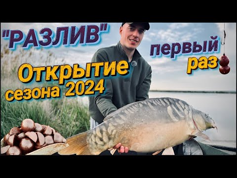 Видео: КАРПФИШИНГ Открытие сезона 2024 водоем "Разлив"