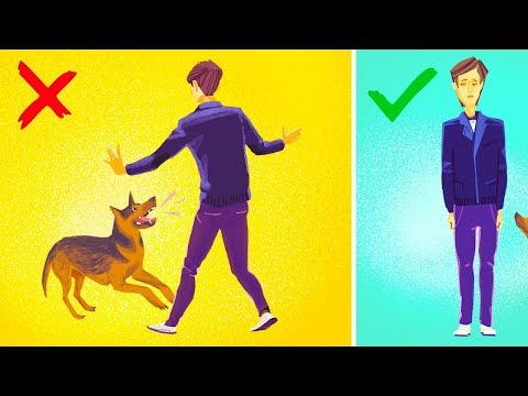 Видео: Что Делать, Если на Вас Напала Собака?