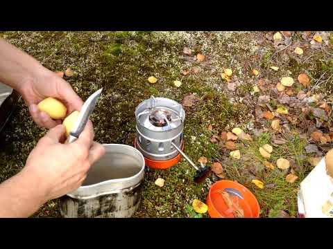 Видео: Первый запуск примуса ПТ-2 за 30 лет #bushcraft  #поход #лес #обед #примус пт-2 #мурманскийтурист