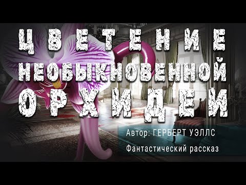 Видео: ЦВЕТЕНИЕ НЕОБЫКНОВЕННОЙ ОРХИДЕИ. Герберт Уэллс. Фантастический рассказ | ПОД СЕНЬЮ СТРЕЛЬЦА 12+