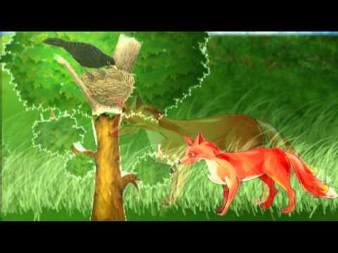 Видео: Косе Босе