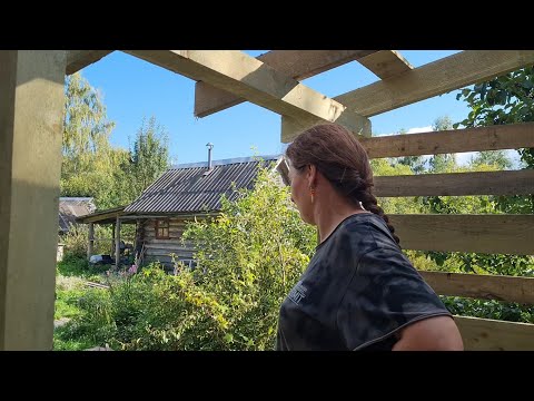 Видео: Корзина с деревяшками, совы-новосёлы и ласковый вечер