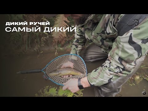 Видео: Самый дикий. Дикий ручей