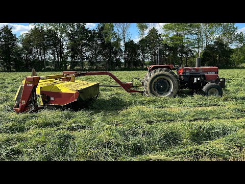 Видео: Пшеница: скашивание, тюкование и упаковка