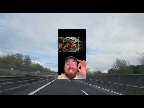 Видео: Позитив с утра пораньше))))#новостигермании#отпускя#хорошеенастрление#австрия#словения#хорватия