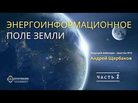 Видео: Энергоинформационное поле Земли / запись вебинара практика ВТО Андрея Щербакова, часть 2