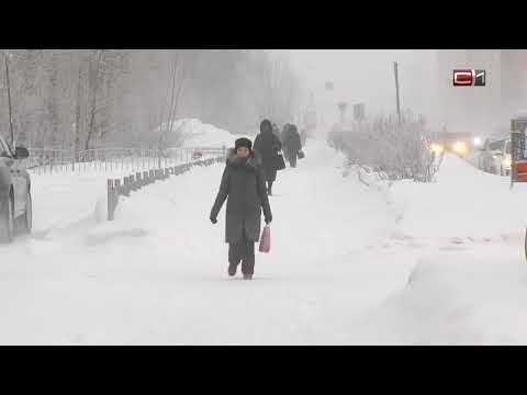 Видео: Новый глава СПОПАТ: Сургуту не хватает около сотни автобусов