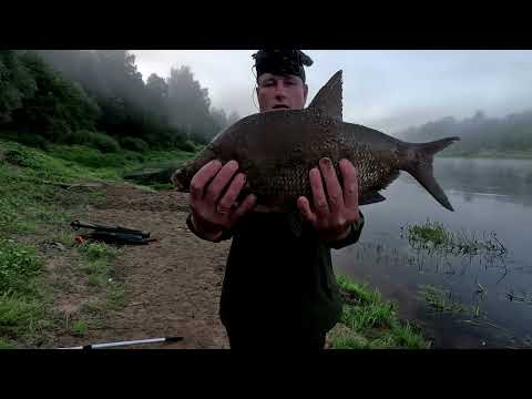 Видео: Крупный лещ на фидер. Западная Двина.Daugava.На Рыбалку, для души!!!