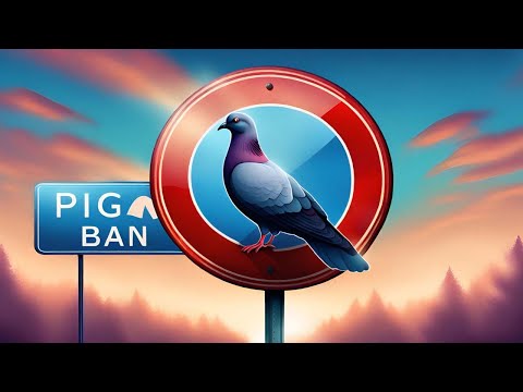 Видео: 72 часа звукоотталкивающего действия для голубей и надоедливых птиц.