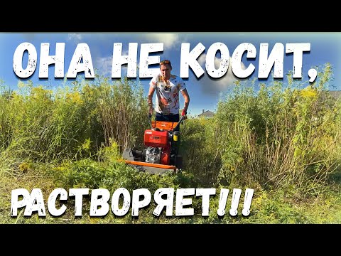 Видео: Авторитетная косилка, соседи будут уважать!