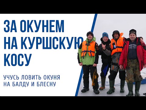 Видео: Ловля окуня на балду на Куршской косе