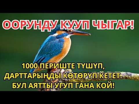 Видео: Дубанын күчү менен оору заматта жоголуп, толук шыпаа келет
