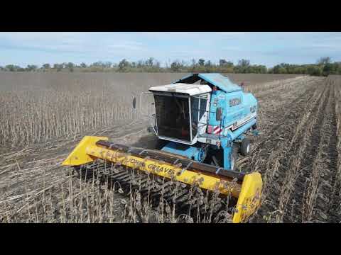 Видео: JOHN GREAVES убираем подсолнух