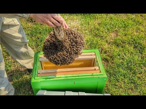 Видео: Мені розказав по це ДІД і воно працює!