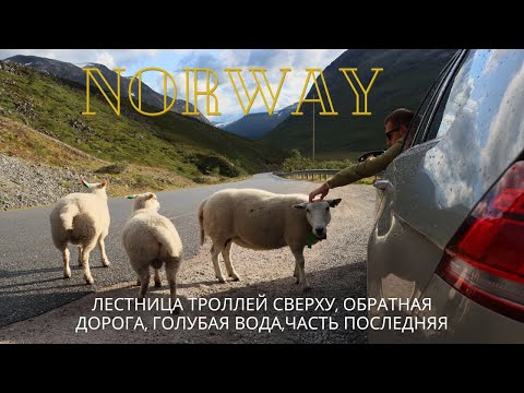 Видео: Норвегия.Лестница троллей сверху, голубая вода, дорога домой/часть третья#norway #travel