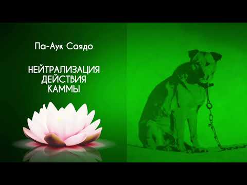 Видео: Па Аук Саядо  Действие каммы  Глава VI — Нейтрализация действия каммы
