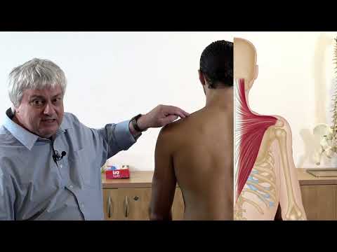 Видео: Боль в трапециевидной мышце – снятие триггерных точек