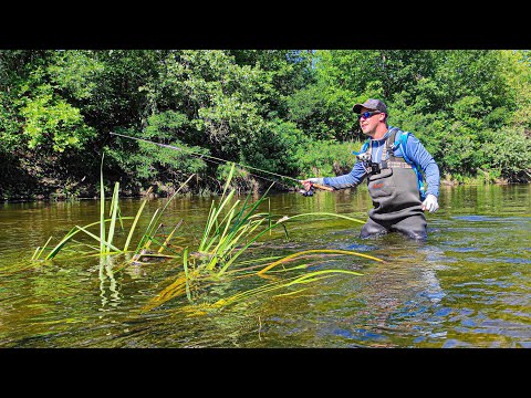 Видео: КОЛИЧЕСТВО И РАЗМЕР ГОЛАВЛЯ радует! 🐟🐟🐟 ПЕРВЫЙ В ЖИЗНИ ЯЗЬ!!!