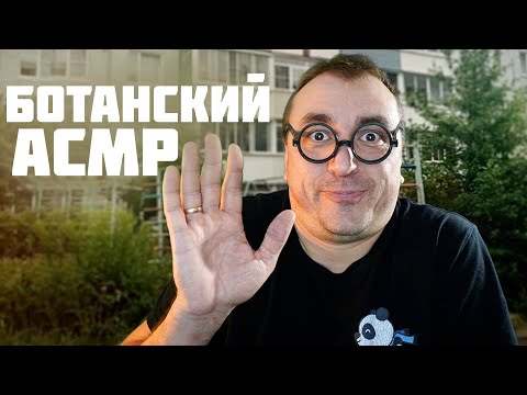Видео: АСМР   - Слово Ботана