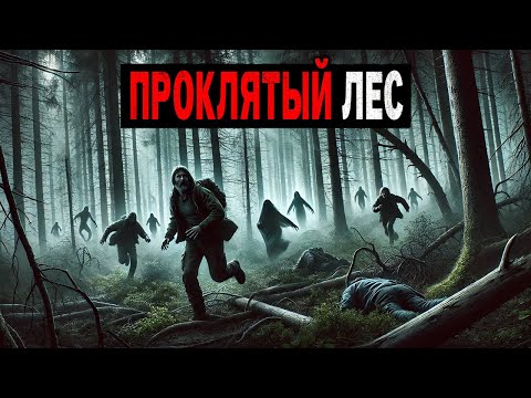 Видео: В 1950-е Годы Геодезисты Обнаружили участок ТАЙГИ, Который Не Отображается на Картах.