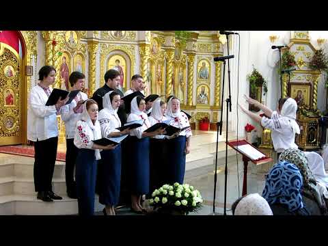 Видео: Ионафан Елецких. Экзапостиларий Пасхи "Плотию уснув"