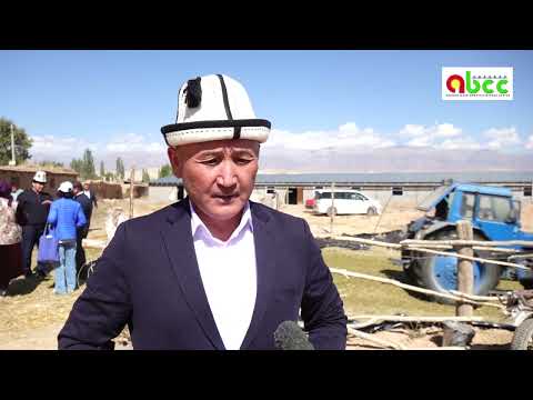 Видео: ролик финиш