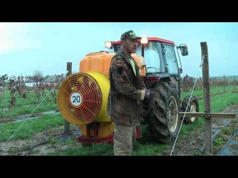 Видео: ЕМ препараты для первого в сезоне опрыскивания малины и ежевики в Ф Х  Батькив сад