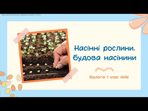 Видео: Біологія 7 клас НУШ Насінні рослини  Будова насінини