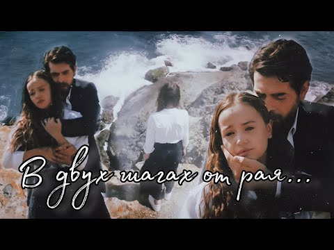 Видео: В ДВУХ ШАГАХ ОТ РАЯ... || Баран и Дилан ~ Кровавые цветы Kan Çiçekleri