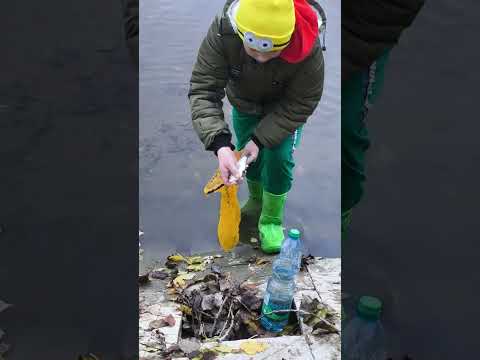 Видео: Вылавливаем рыбу самодельным сачком на искусственном водоеме