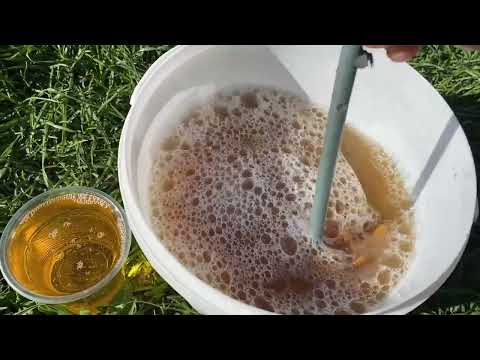 Видео: Эмульсия от тли, трипсов, белокрылки, паутинного клеща и др вредителей огорода