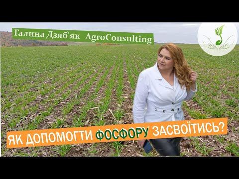 Видео: Як фосфор поводиться в ґрунті? Як краще внести комплексні добрива?