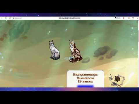 Видео: Новый перс? Опять? / CatWar