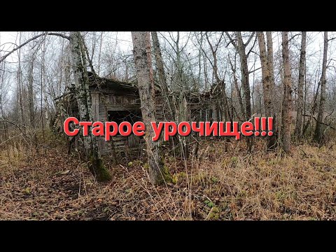 Видео: Сели с братом на каракат и уехали в старую деревню. Поиск монет и кладов.