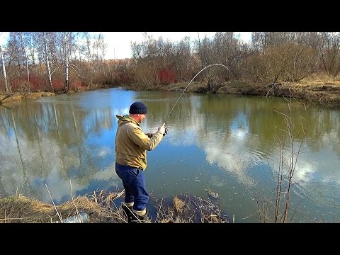 Видео: В ЭТОЙ ЯМКЕ ПОЛНО КРУПНЯКА!!! МОРМЫШИНГ ПО ДЕРЕВЕНСКИ!!!