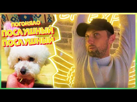 Видео: IRl СТРИМ ЗУБАРЕВА, ПО СТАРОМУ ГОРОДУ YANGSHUO#zubarefff #зубарев #китай