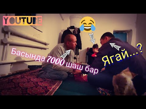 Видео: Каракалпакстан корсин, Халкабадта билгиш Палшы шыкты.