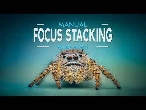 Видео: Какой самый простой способ вручную сгруппировать фокус?