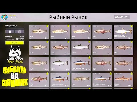 Видео: Русская рыбалка 4.🎣🦈 р. Яма 🐬🐬🐬...💦 РЫБАЛКА на СПИННИНГ от LATORSO 👀