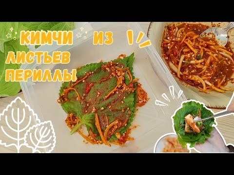 Видео: Корейское Кимчи из Листьев Периллы (Кеннип Кимчи) Рецепт Perilla Leaves Kimchi Recipe 깻잎김치 만들기