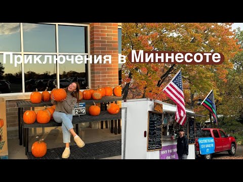 Видео: роудтрип в Америке, эвакуировали машину, ИКЕА, русский магазин | влог
