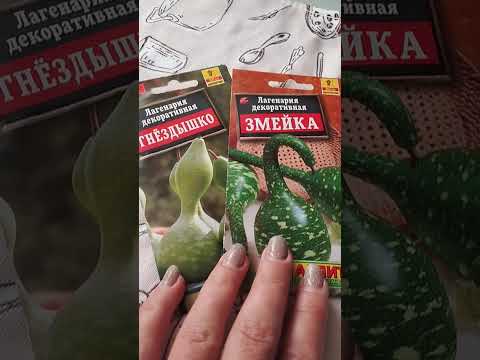 Видео: Обзор семян экзотов на 2026г.