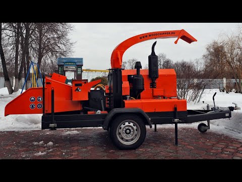 Видео: Медведь жрёт деревяхи.